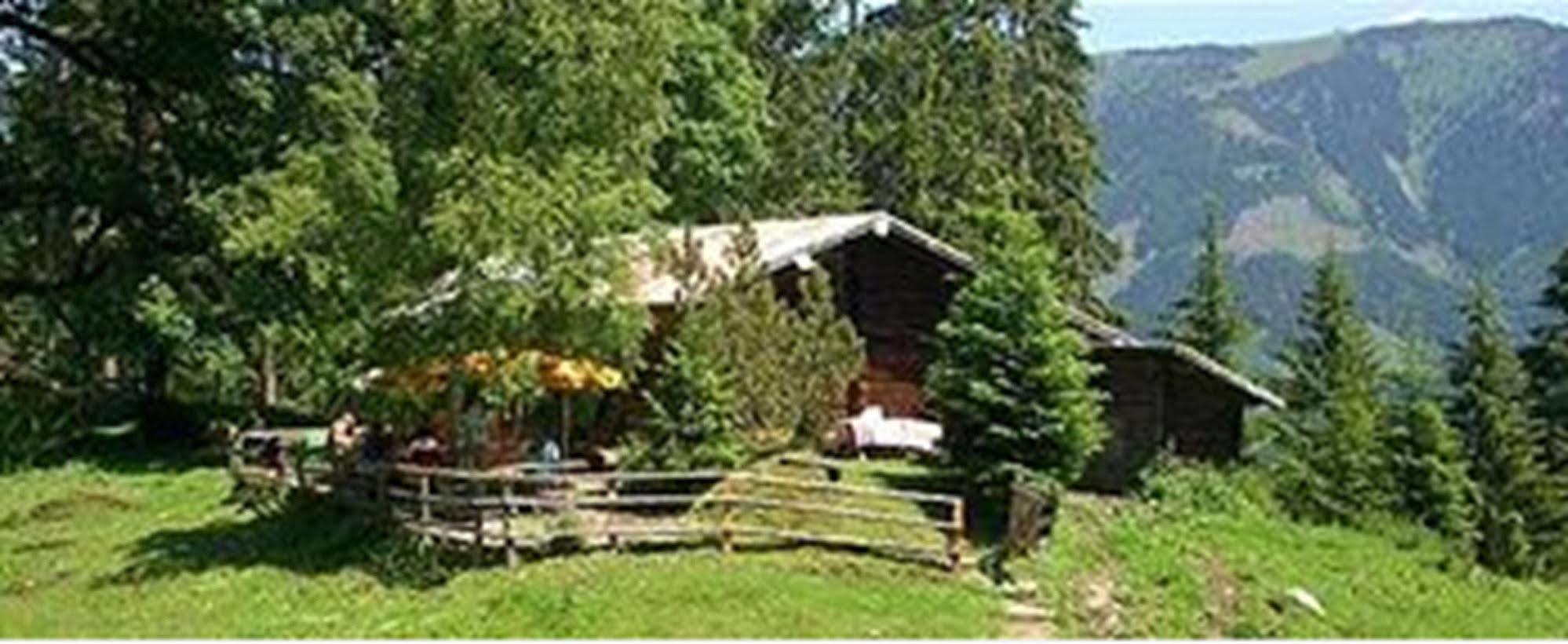 Klammers Kaernten Bad Hofgastein Ngoại thất bức ảnh